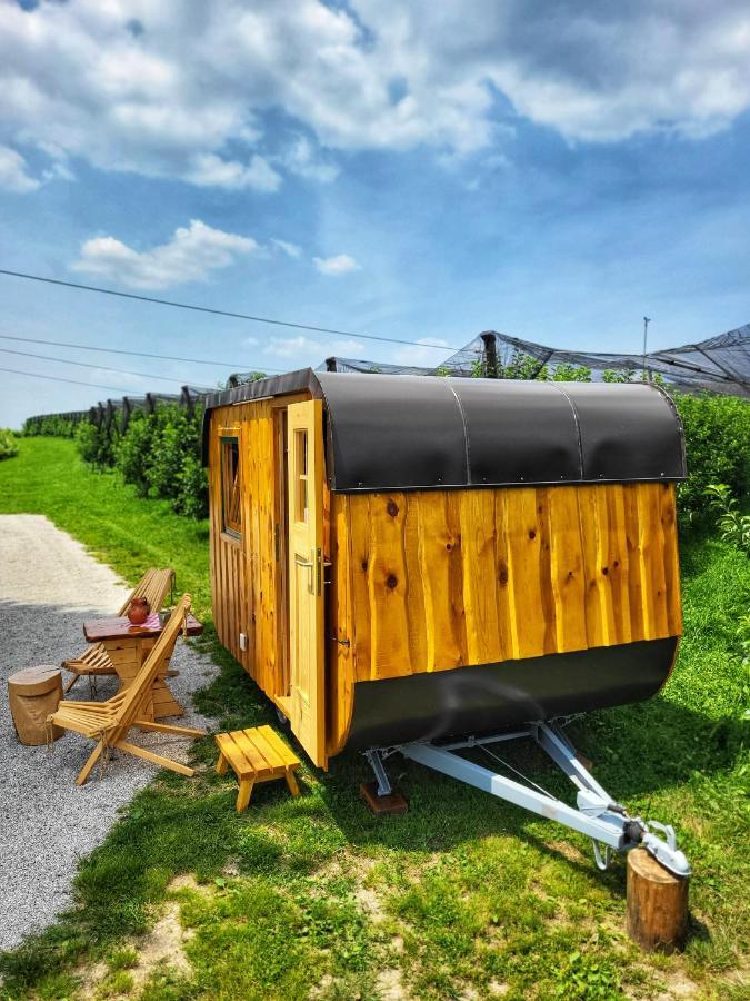 Unique wooden holiday house in nature Lukovica pri Domžalah Buitenkant foto