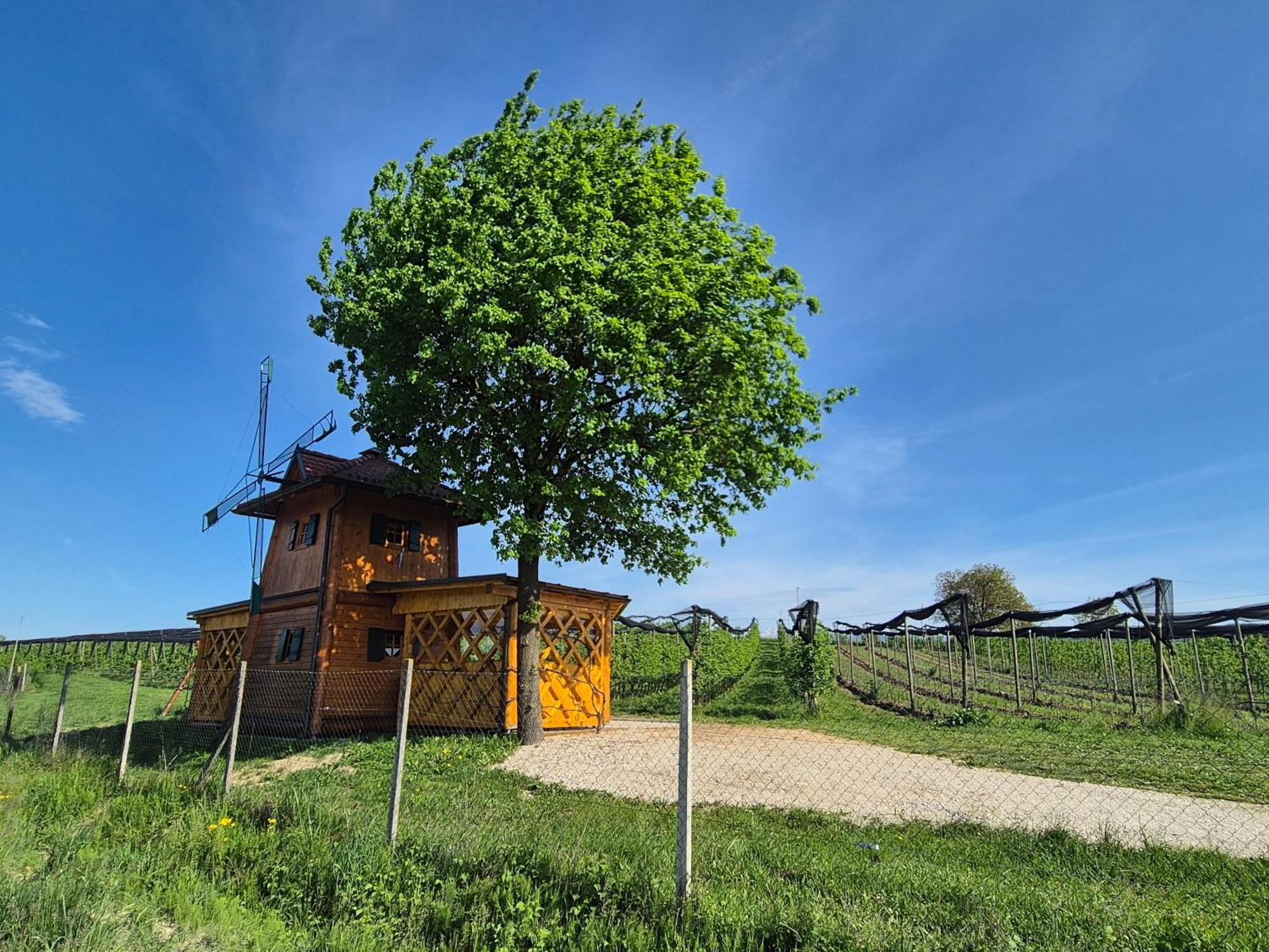 Unique wooden holiday house in nature Lukovica pri Domžalah Buitenkant foto